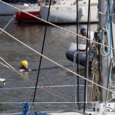 Tournoi des Vénètes