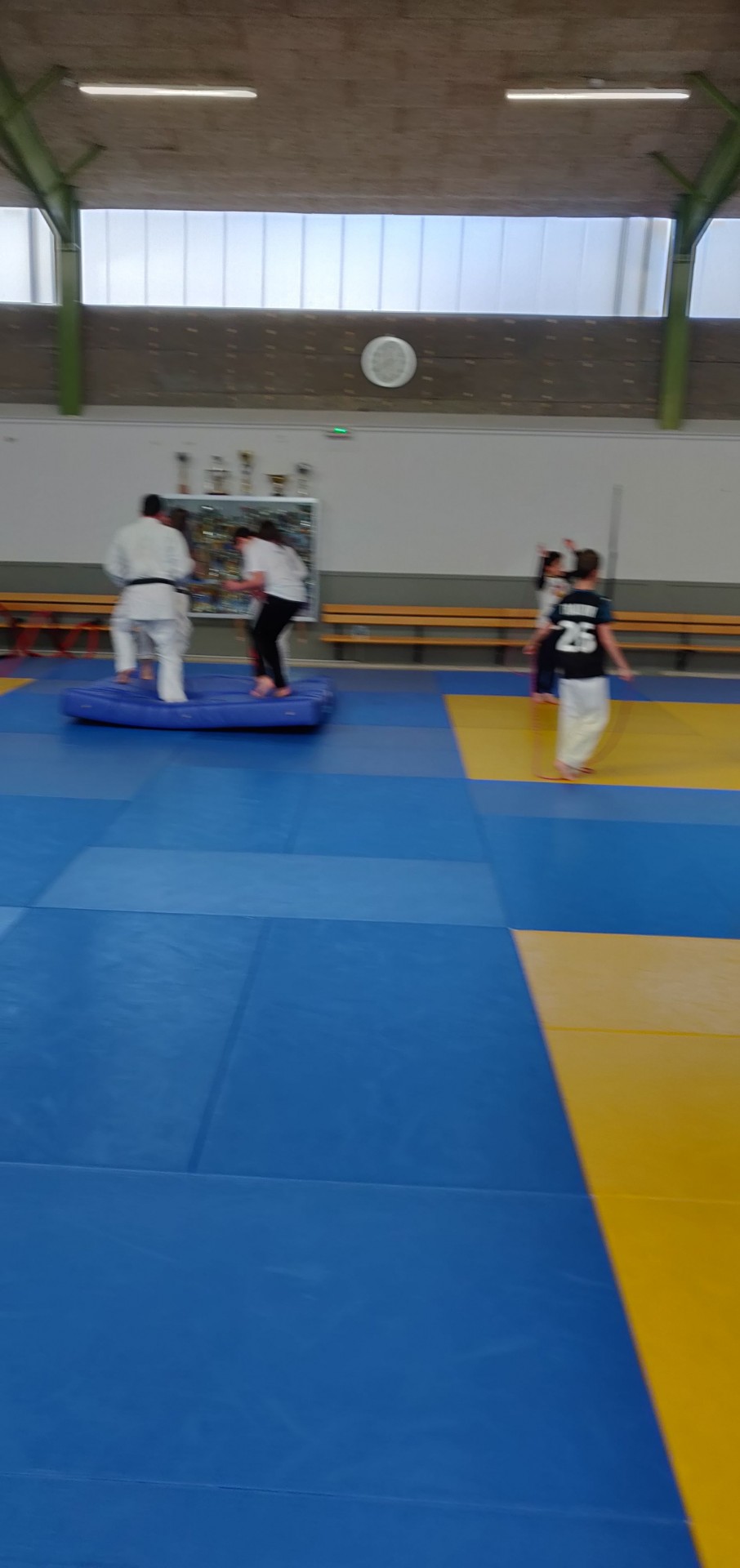 Stage judo-neige