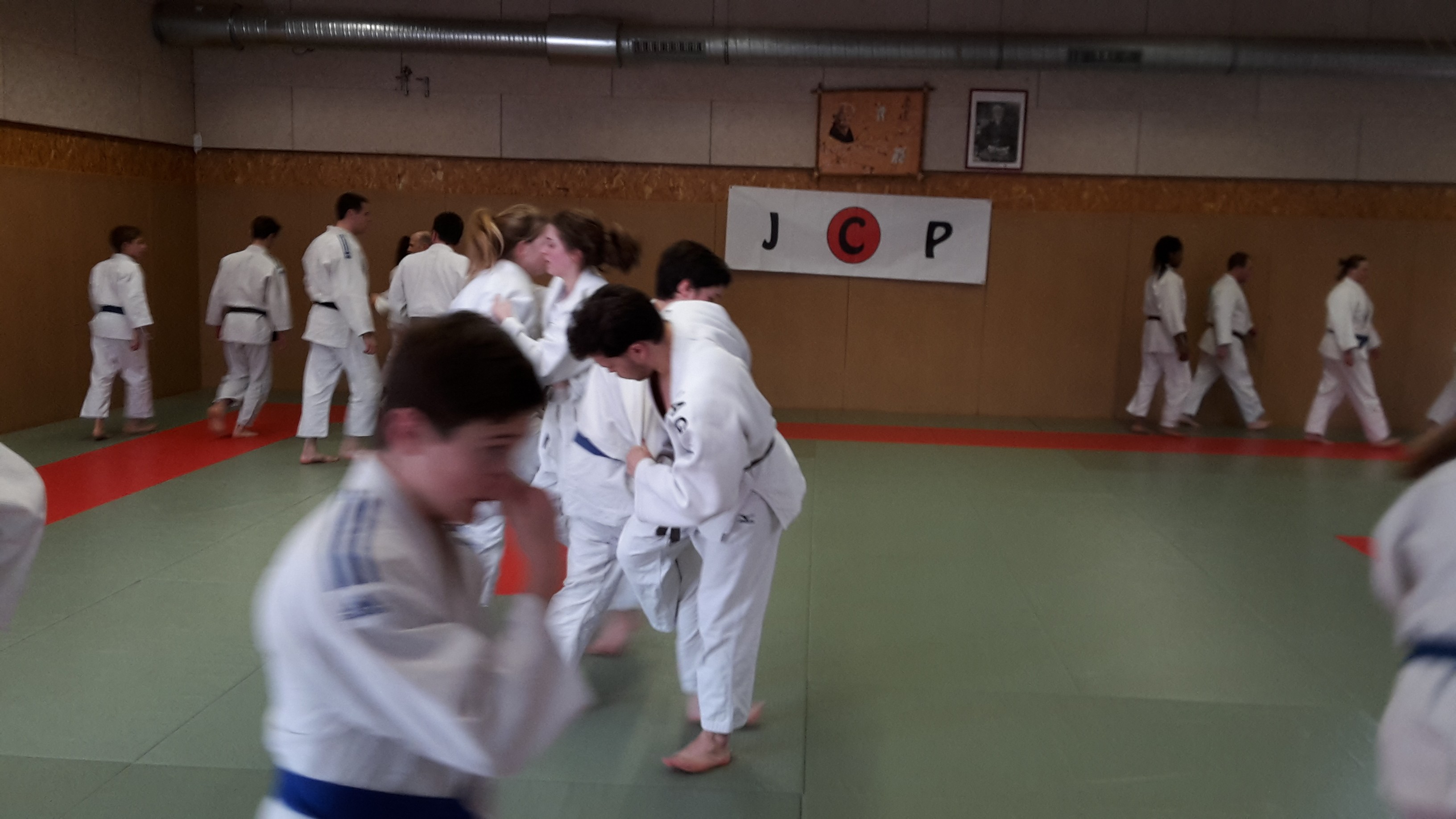 Judo-voile