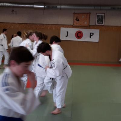 Judo-voile