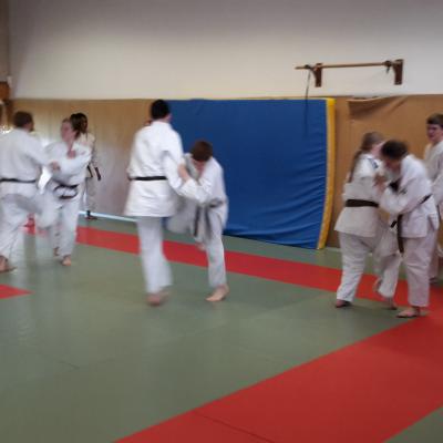 Judo-voile