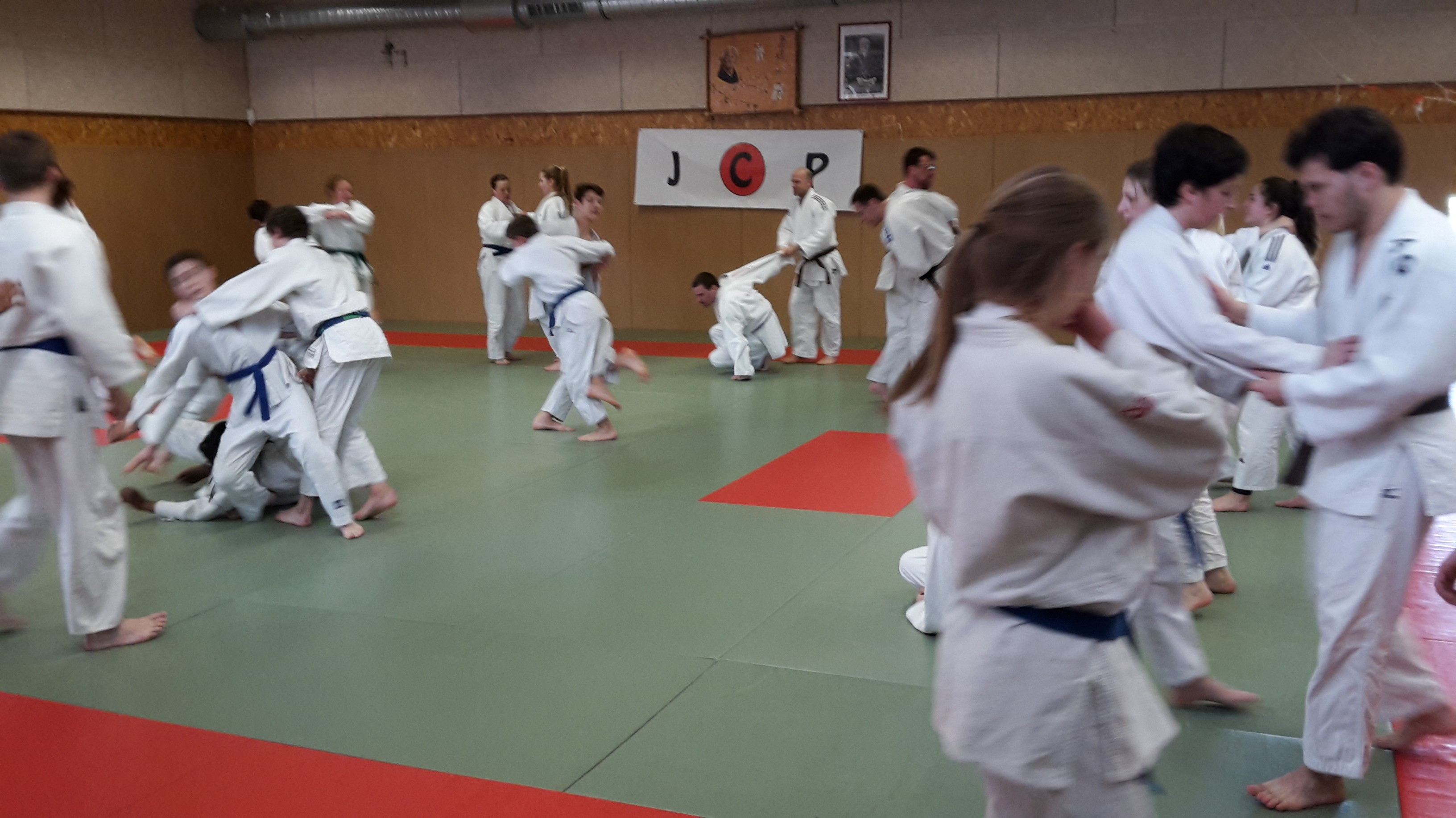 Judo-voile