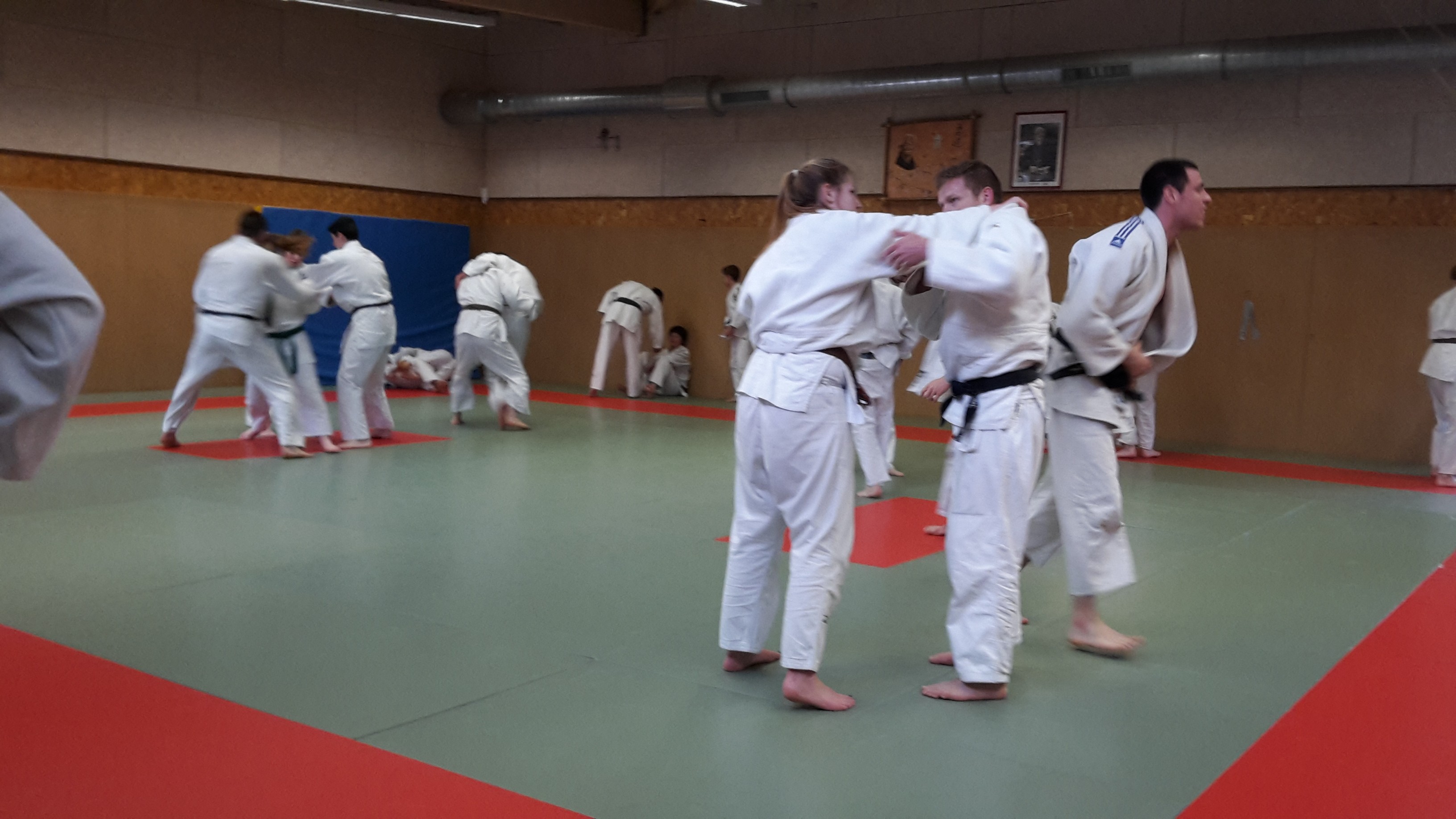 Judo-voile