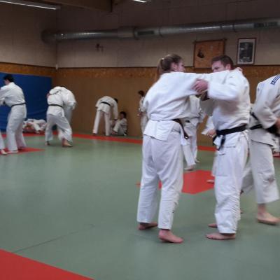 Judo-voile