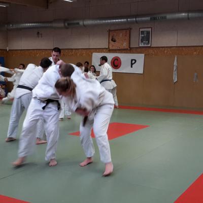 Judo-voile