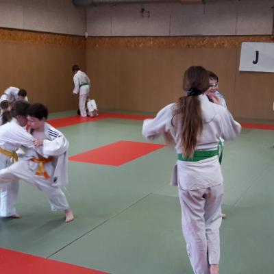 Judo-voile