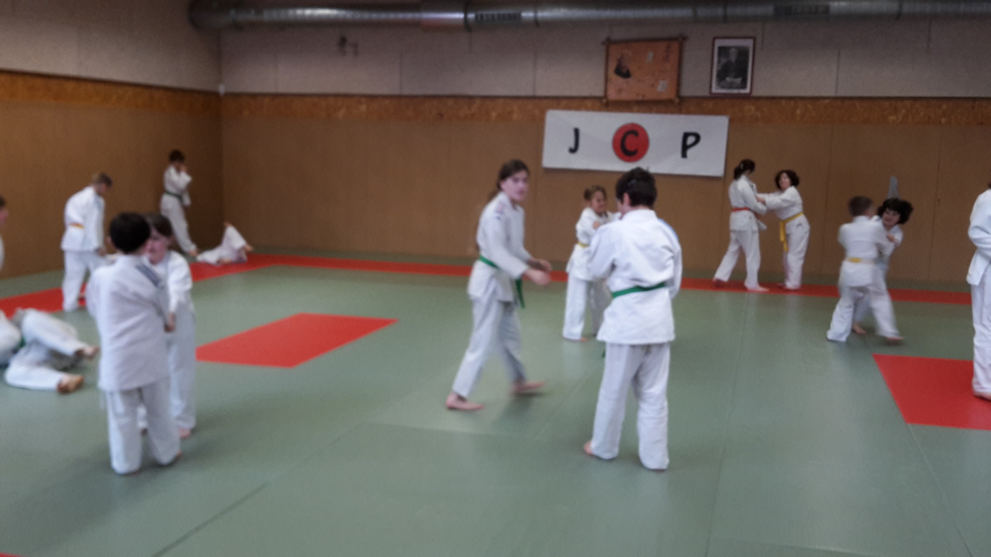 Judo-voile