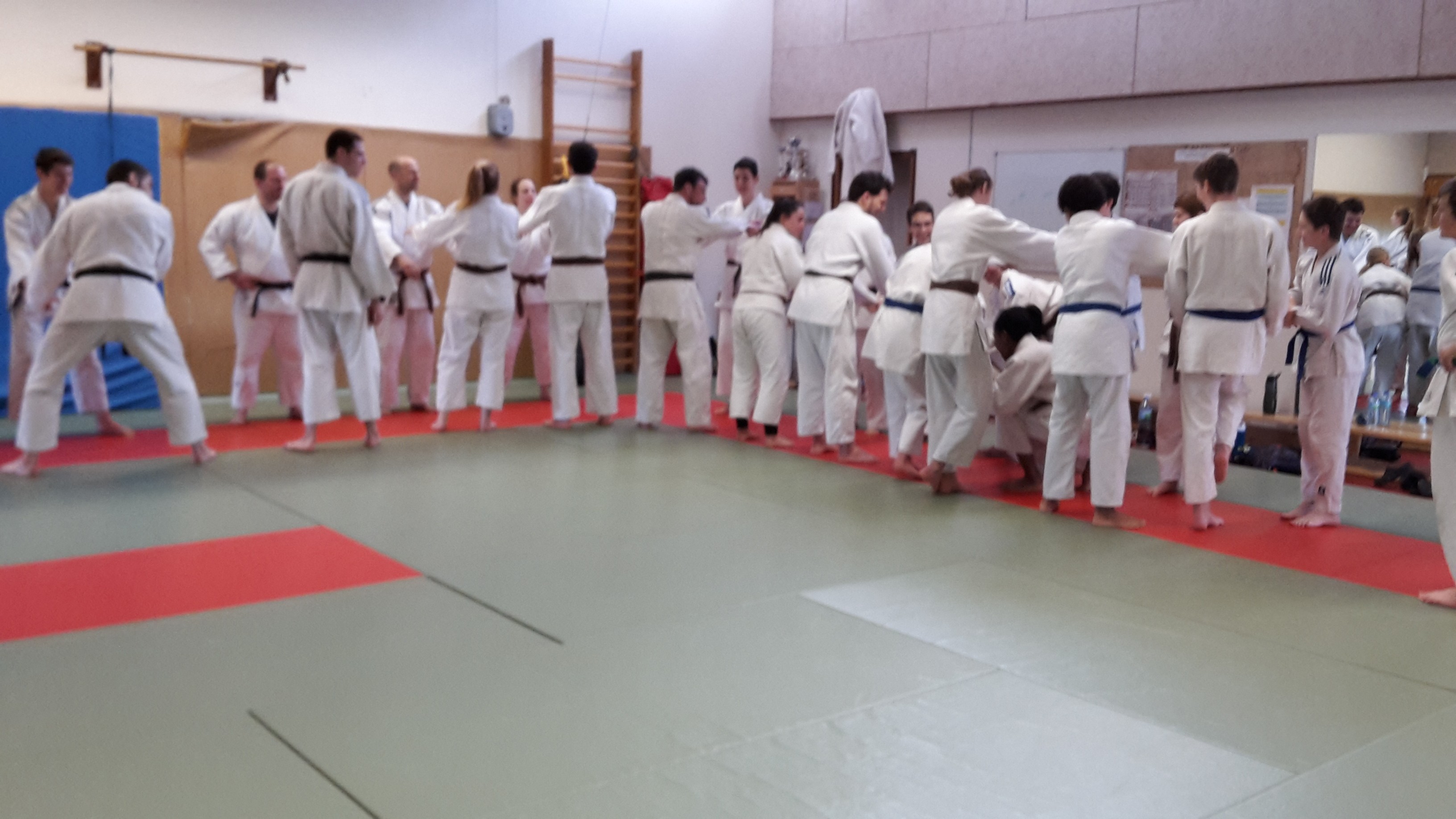 Judo-voile