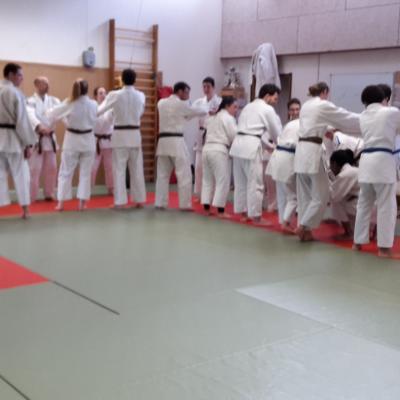 Judo-voile