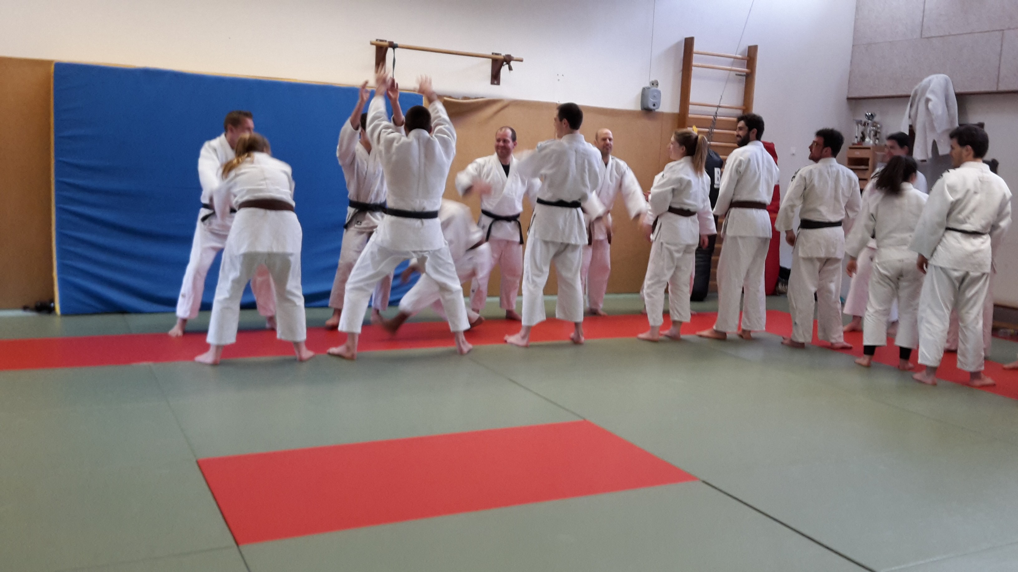 Judo-voile