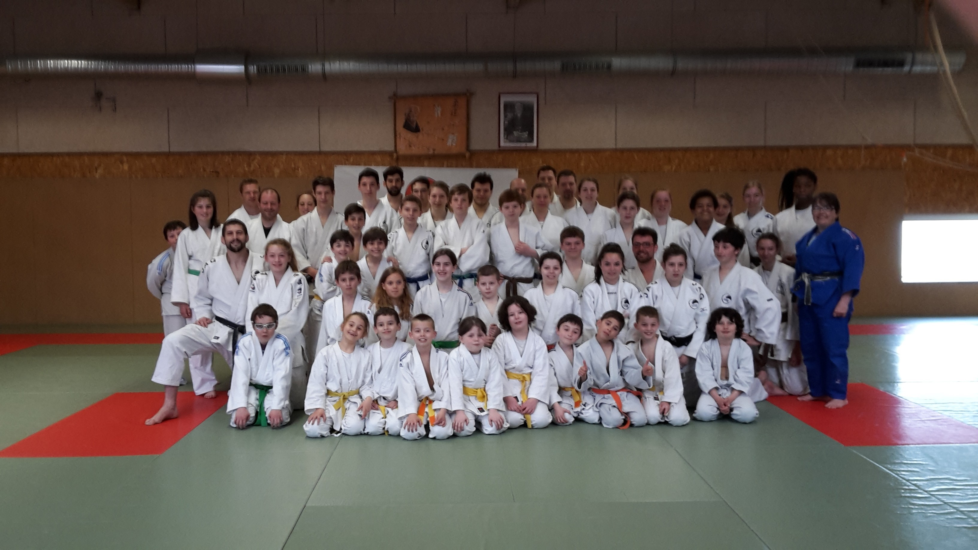 Judo-voile