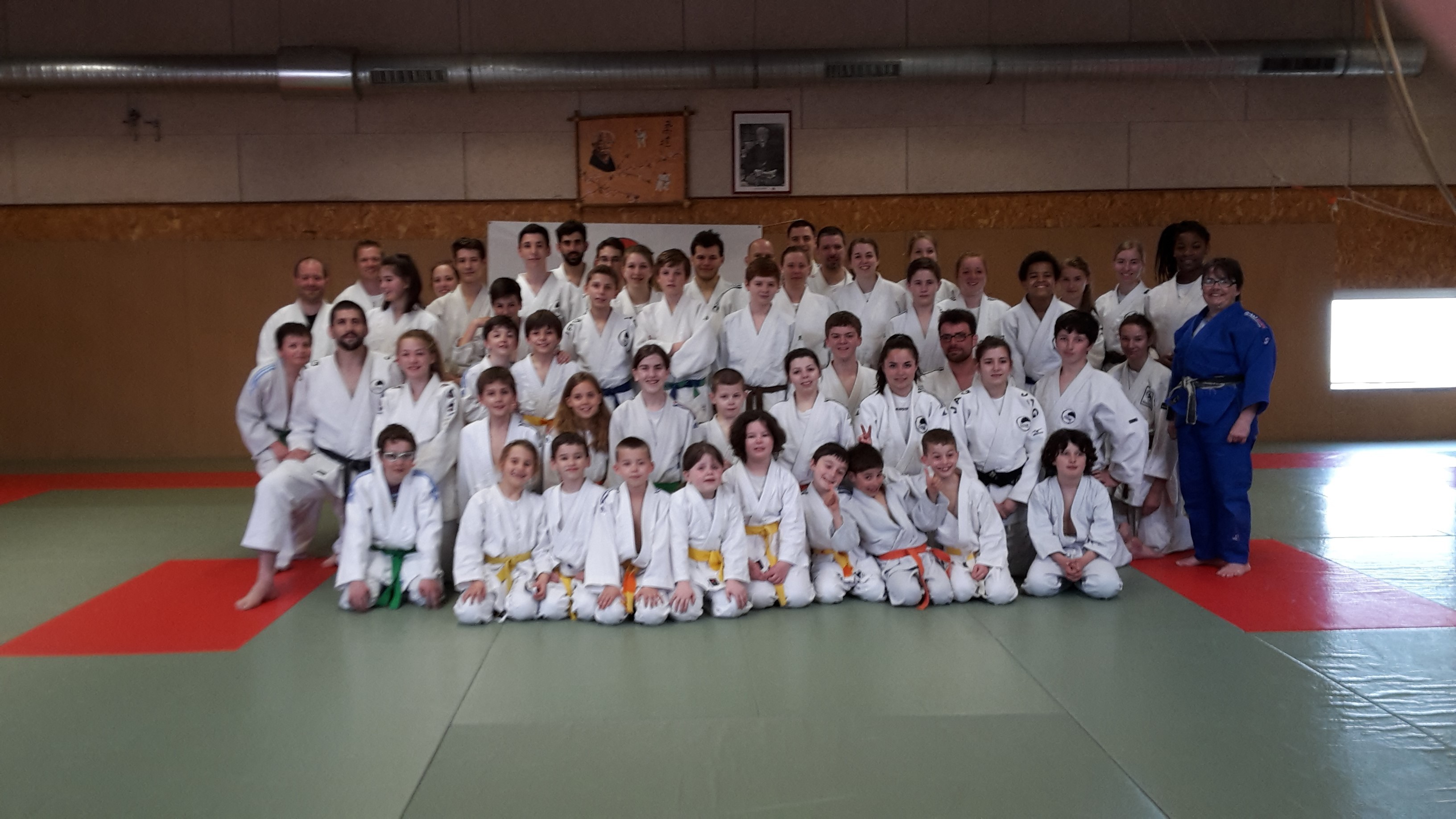 Judo-voile