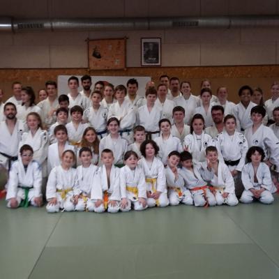 Judo-voile