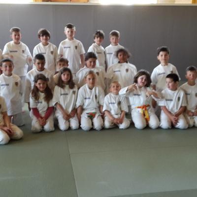 Stage judo-voile
