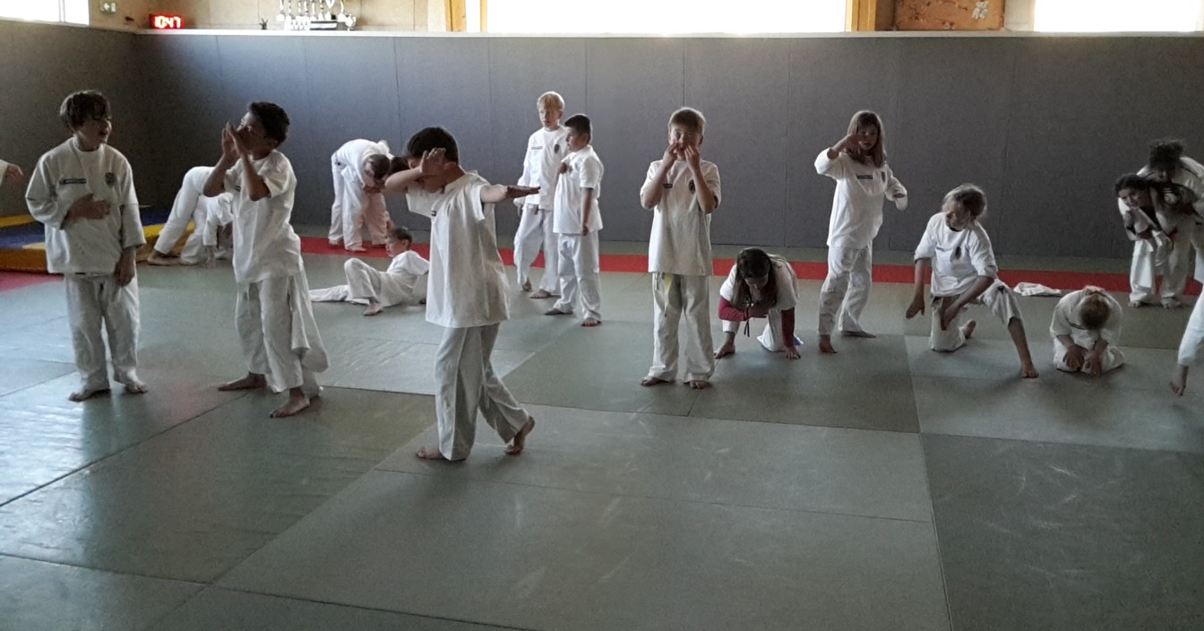 Stage judo-voile