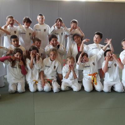 Stage judo-voile